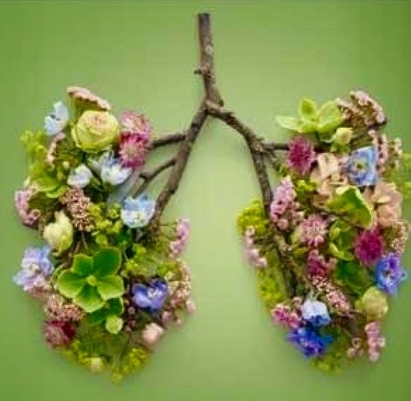 Breath Medicine Journey