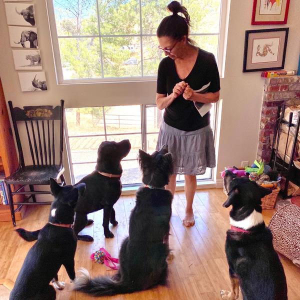 What's Your Animal's Problem: Animal Readings & EFT Demonstration